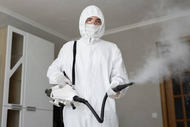 Best Industrial Mold Remediation in Stormstown, PA